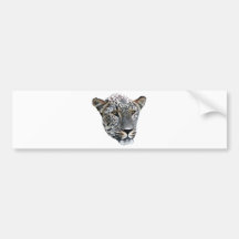 Snow Leopard Bumper Stickers