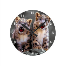Snow Leopard Cubs