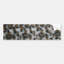 Snow Leopard Fur Bumper Stickers