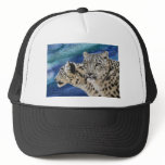 Snow Leopard Habitat hats