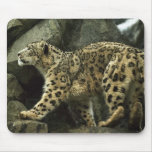 snow-leopard mousepads
