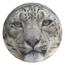 Snow Leopard  Plate
