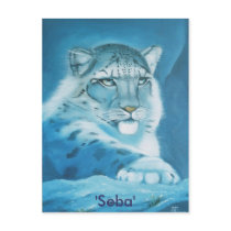 snow leopard, 'Seba' Post Card