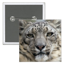Snow Leopard Square Button