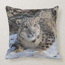 Snow Leopard Square Toss Cushion Pillows