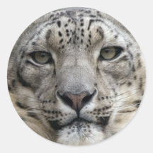Snow Leopard Sticker