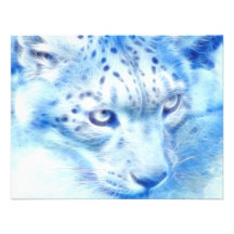 *Snow Leopard* Wild Spirit Announcement