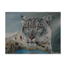 snow leopard winter post cards