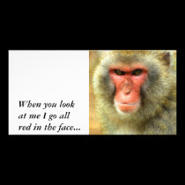 Snow Monkey, photo cards