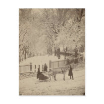 Snow on Boston Common Post Card
