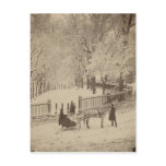 Snow on Boston Common postcards