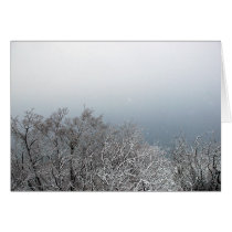 Snow on Branches Greeting Card