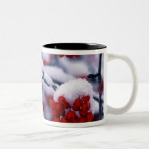 Snow on European Mountain Ash Berries, Utah. Coffee Mug
