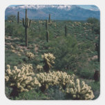 Snow On Four Peaks flowers Sticker