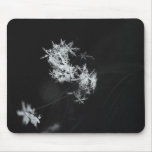 Snow on the Dog Mousepads