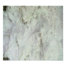 Snow on the Ground Photo Print