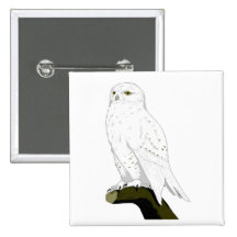 Snow Owl Button