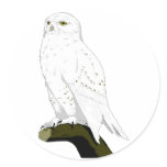 Snow Owl stickers