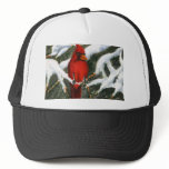 Snow Painting Hat
