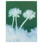 Snow Palms flyers