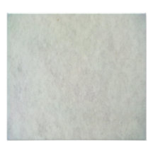 Snow Pattern Photographic Print