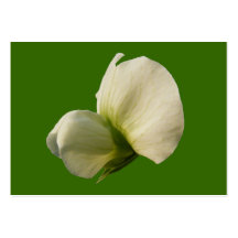 Snow Pea flower ~ ATC Business Card Templates
