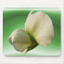 Snow Pea flower ~ mousepad