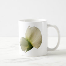 Snow Pea flower ~ mug