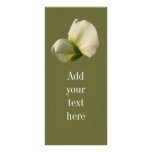 Snow Pea flower ~ rack card