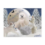 Snow Play postcards