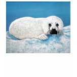 Snow Seal Emily Winter t-shirts