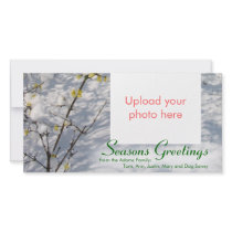 Snow Seasons Greetings Bilderkarten