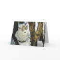"Snow Shoe Hare" cards