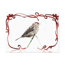 Snow Sparrow Stretched Canvas Prints