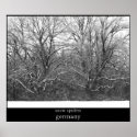 snow spiders posters