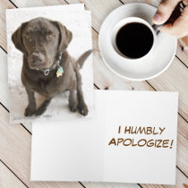 Snow Sprinkled Chocolate Lab