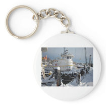 Snow storm 2010 133 key chains