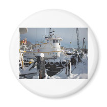 Snow storm 2010 133 fridge magnet