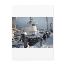 Snow storm 2010 133 postcard