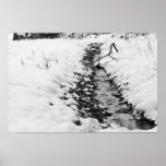 Snow Stream Poster posters