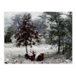 Snow Tractor Post Cards