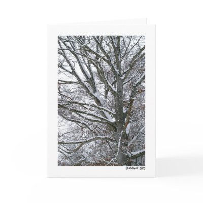 Snow Tree Greeting Cards by StarLily