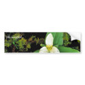 Snow trillium bumper stickers