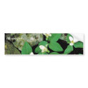 Snow trillium bumper stickers