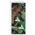 Snow trillium rack cards