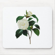 Snow White Camellia By Pierre Joseph Redoute Mouse Pad