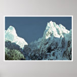Snow-White Trees Poster