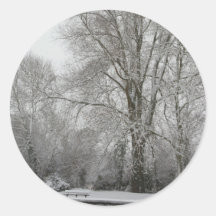 Snow Willow Round Stickers
