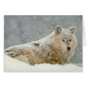 Snow wolf cards
