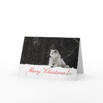 Snow Wolf Christmas Card